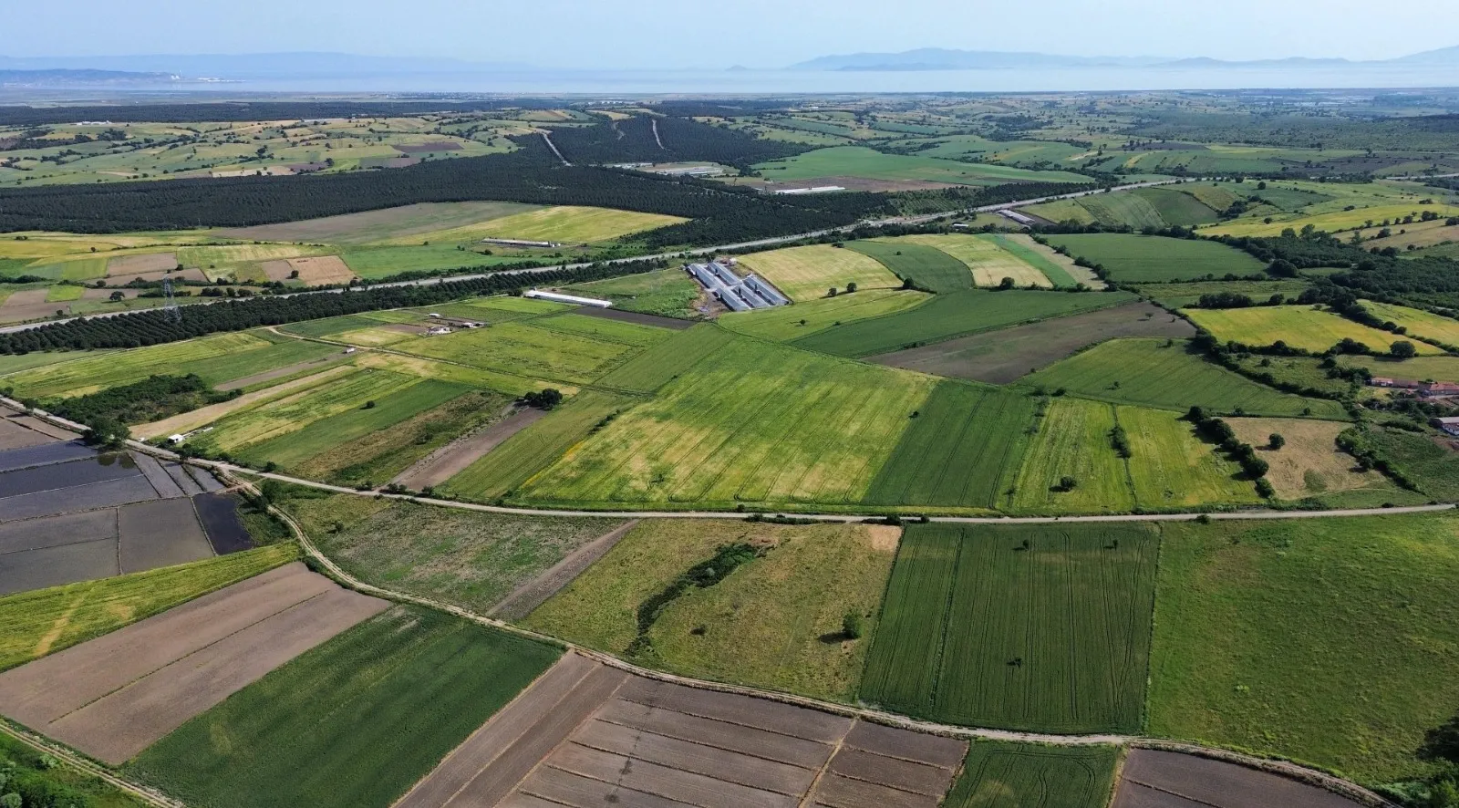 BİGA YUKARIDEMİRCİ'DE OTOYOL VE KÖYE YAKIN 4144 M2 SATILIK TARLA